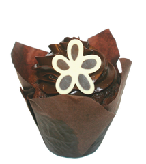 Double Chocolate Hug