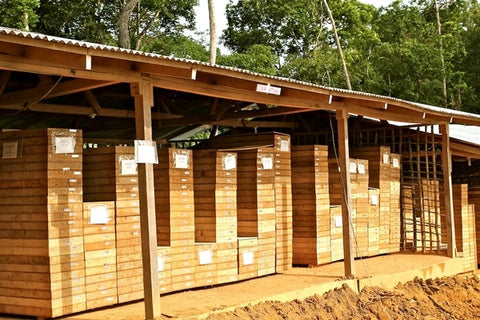 Reverse-engineered encompassing emulation